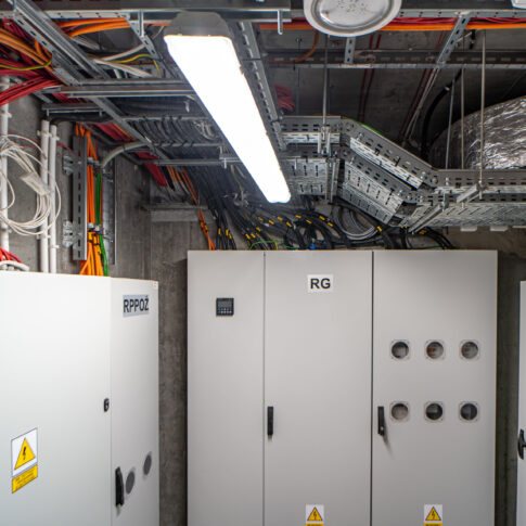 DSC02944-Enhanced-NR